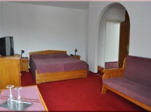 Revelion Romania - Vila Trandafirul si Liliacul 3* - Calimanesti-Caciulata 2